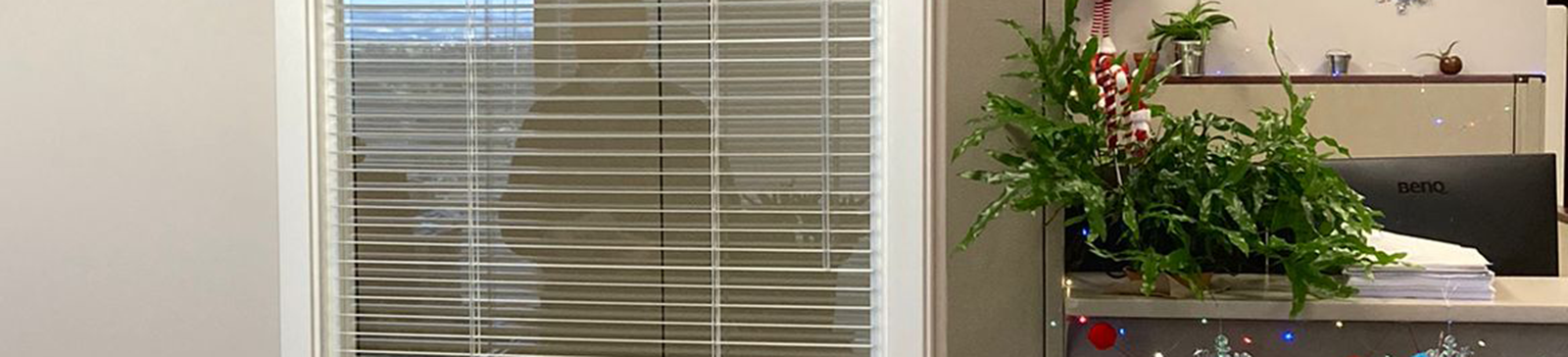 Window Blinds Installation for Woodside Office